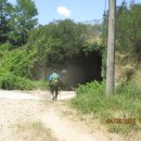 표교초교 이미지