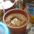 소망농장 이미지