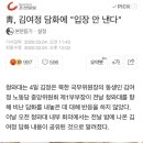 김여정 : 청와대 완벽하게 바보스러워, 3살 난 아이들 같다 이미지