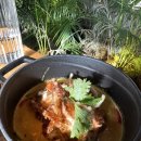 동그란,댕 이미지