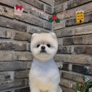 오도독뽀도독 이미지