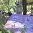 아지네농장 이미지