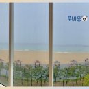 트리고삼척해변점 이미지