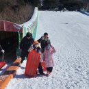 금정 하랑태권도 이미지