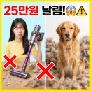 골든디스플레이 | 무선청소기 고르는 법｜200W 믿었다가 25만원 날린 골든리트리버 집사 후기