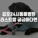 바른동물메디컬센터 | 김포24시동물병원 리스트업 궁금하시다고요?