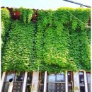 후평동 429-17 이미지