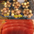모아별몰 이미지