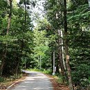 진덕사입구 이미지