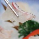 금화초밥 이미지