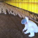 나주2농장 이미지