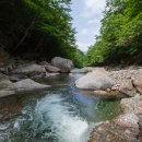 대동LPG충전소 이미지