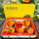 다온푸드 이미지