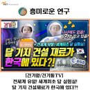 유일건기
