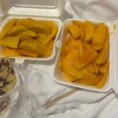 태공낚시마트 | [베트남🇻🇳]동남아 우기는 이렇군요 푸꾸옥 5월의 날씨여행 Day3 | 호핑투어, 반쎄오&분짜&오징어 현지...