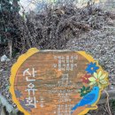 산에는 꽃이피네 이미지