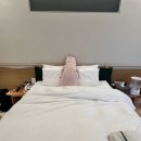 양지크리닝 | 디어원 산후조리원 디럭스룸 13박 14일 후기 ② 1주차 / 입소 / 조리원 준비물 / 교육 / 탯줄탈락 시기