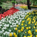 발왕산 케이블카 - 스카이 워크... 이미지