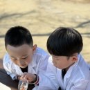 세계유치원 이미지