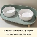고래식탁 | 옐로우고래) 경추 보호가 되는 반려견 도자기 식탁세트 2구 사용후기