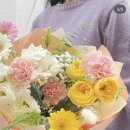 플로위드 이미지