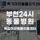 소사프라임동물병원 | 주말에도 문 여는 부천24시동물병원 어디로 가야할까? 24시옥길아라동물의료센터 건강검진 후기