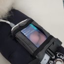 굿모닝24시동물병원 이미지