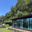 강북오리박사 | [대구칠곡카페] 아름다운 여름정원 :: 에버블루밍