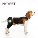 마요 펫 이미지