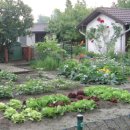 가족농원 이미지