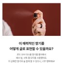미스, 미스터 | [사담] 내돈내산 러쉬 바디스프레이 후기(슬리피,로드오브미스룰,솔티,미스터월렛 등)