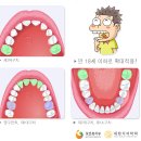 뉴욕플란트치과의원 이미지