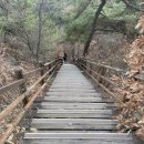 돌탑공원(팔룡근린공원) 이미지