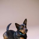 마곡 행정사 사무소 이미지