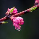 널부르는소리야 이미지