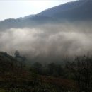 무진장농원 이미지