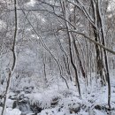 환상적인 덕유산 떡 상고대 이미지