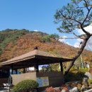 수희재캠프 이미지