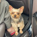 등대지기펜션 | 2024 여름휴가는 경주와 포항! 이번엔 금동이와 신랑도 함께~