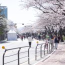 종로재가복지센터 이미지