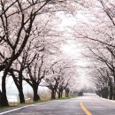 면소재지  약수터 입구 이미지