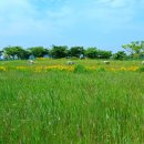 대부바다향기 테마파크 이미지