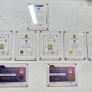 리아앤스칼프 이미지