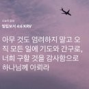 목암중학교 | [25-28주] 임신 중기 일상 기록