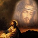 2025년/ 11 월 셋 째주일 낮예배 대표 기도문 이미지