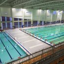 배미수영장 이미지