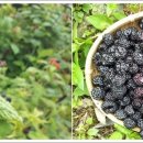 (주)휴먼콘트롤즈 이미지