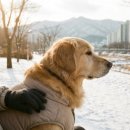 삼호동물병원 이미지