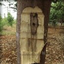 푸른솔한의원 이미지