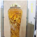 장생도라지박물관 이미지